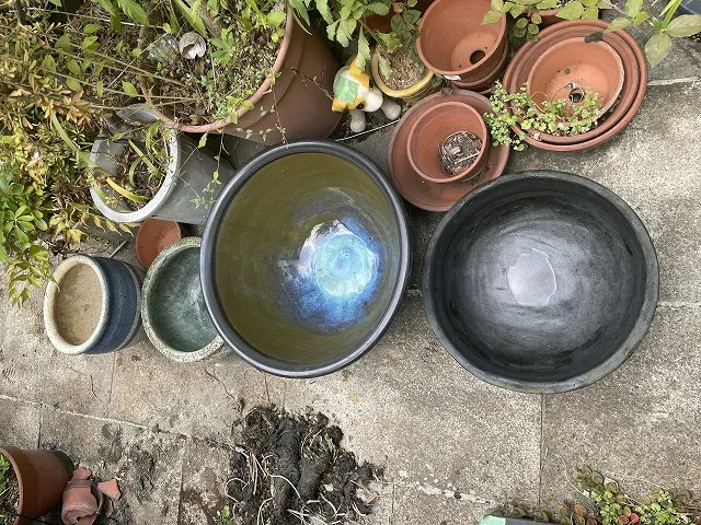 きれいになった四つの水鉢