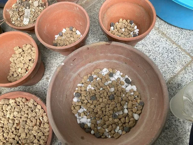 植木鉢の準備